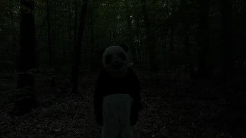 The Wild Panda Bild 1