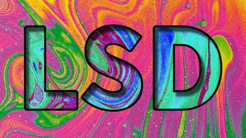 LSD: The Beyond Within Bild 2