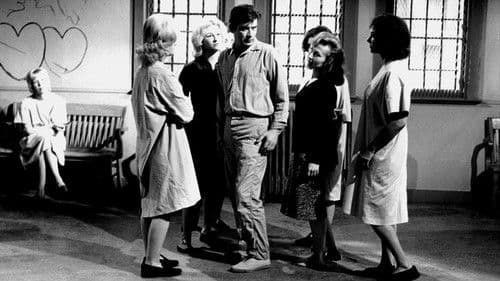 Schock-Korridor Bild 3