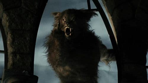 American Werewolves Bild 2