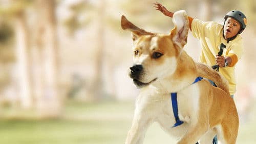 Gut gebellt ist halb gewonnen Bild 2