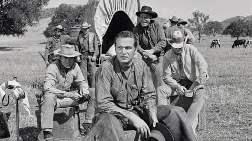 Tausend Meilen Staub Bild 6