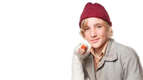 Nils Holgerssons wunderbare Reise Bild 1