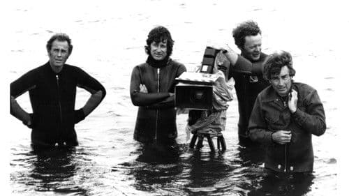 Der weiße Hai - Kultfilm mit Biss Bild 5