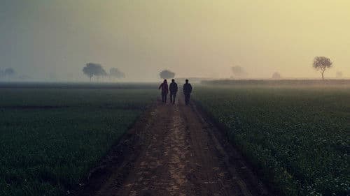 Murder Loves Company Bild 1