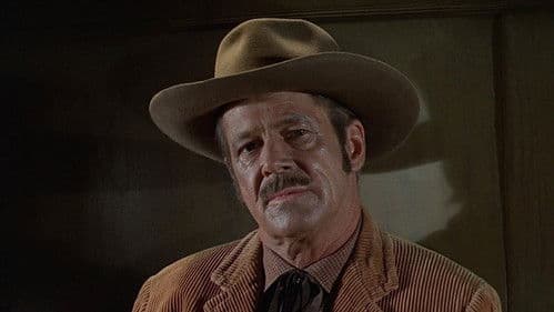 Winchester '73 Bild 2