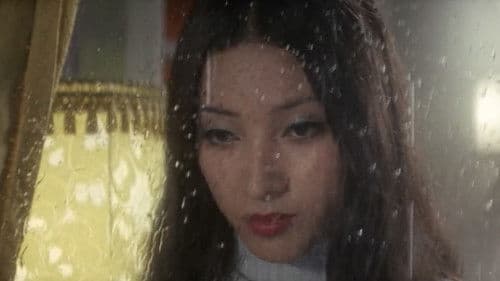 夜の歌謡シリーズ　なみだ恋 Bild 6