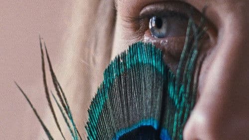 A Metamorfose dos Pássaros Bild 3