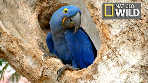 Naturparadiese in Lateinamerika Bild 1