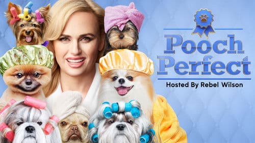 Pooch Perfect Bild 4