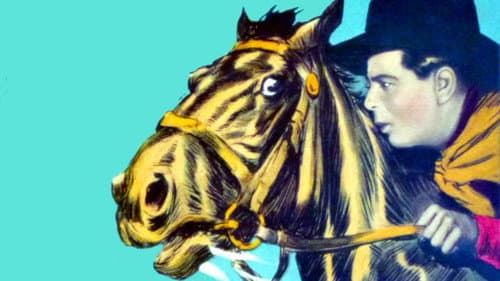 Hey! Hey! Cowboy Bild 1