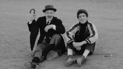 Große Vögel - Kleine Vögel Bild 1