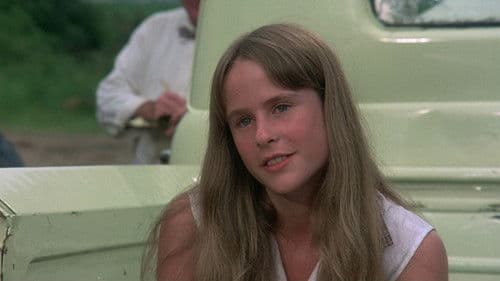 Ode to Billy Joe Bild 4