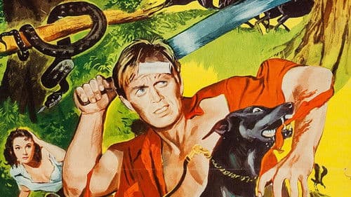 Der Sonne entgegen Bild 5