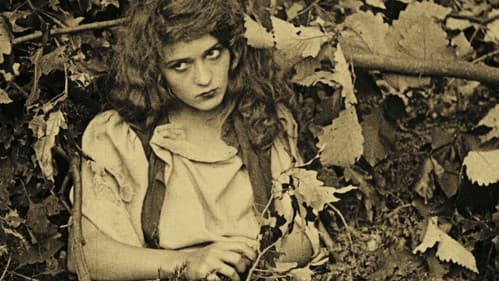 Fanchon, the Cricket Bild 7