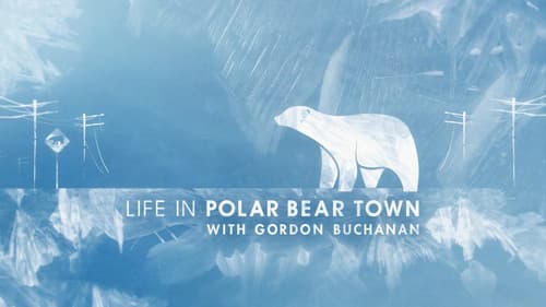 Life in Polar Bear Town with Gordon Buchanan Bild 2