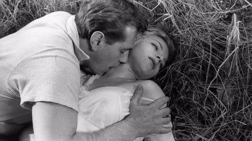 Viele kamen vorbei Bild 1