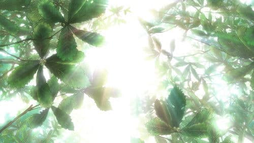 Seven Days War Bild 5