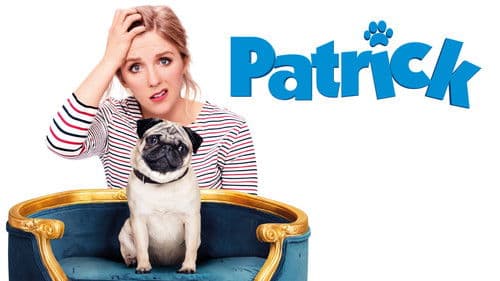 Ein Mops zum Verlieben Bild 8