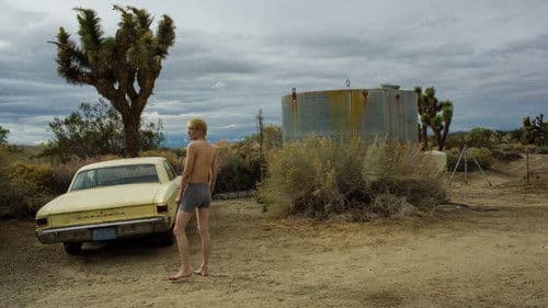 Fallen Blossoms Bild 1