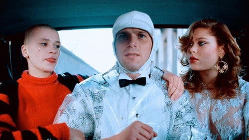 Wie die Weltmeister Bild 1