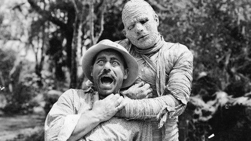 The Mummy's Curse Bild 4