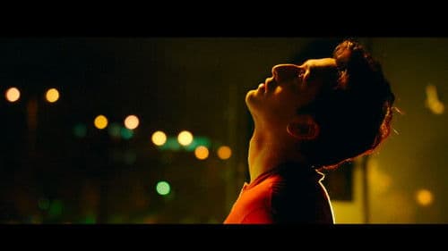 Tamasha Bild 8