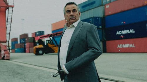 Mit eiserner Hand Bild 3