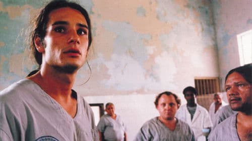 Bicho de Sete Cabeças Bild 5