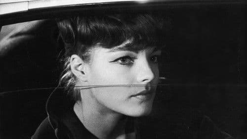 Der Kampf auf der Insel Bild 4