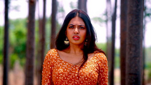 అహ నా పెళ్ళంట Bild 5