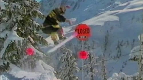 Totally Board Bild 3