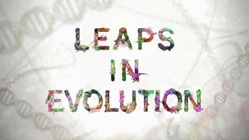 Leaps In Evolution Bild 1