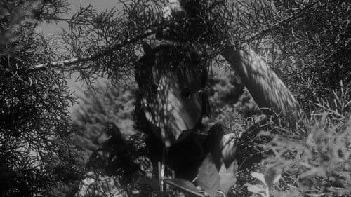 Cabra y Madre Bild 4