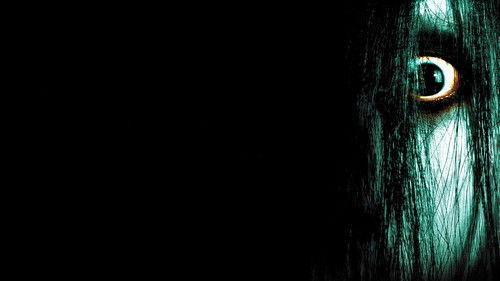 Der Fluch - The Grudge Bild 8