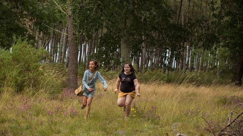 Dieser eine Sommer Bild 5