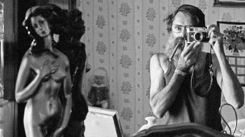 1341 פריימים מהמצלמה של מיכה בר-עם Bild 1