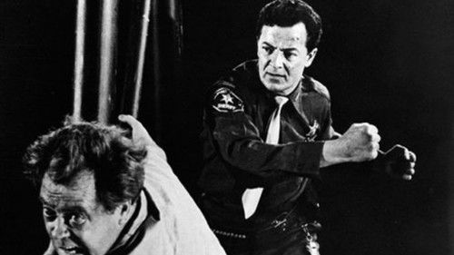 Der Mann aus Arizona Bild 3