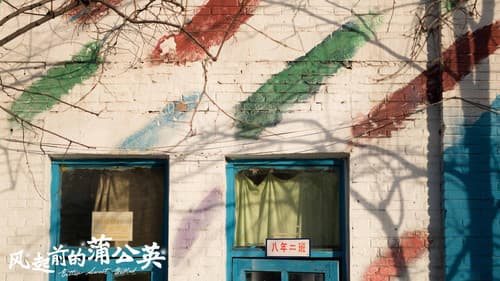 风起前的蒲公英 Bild 1