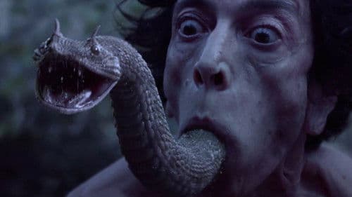 The Carpenter's Son Bild 3