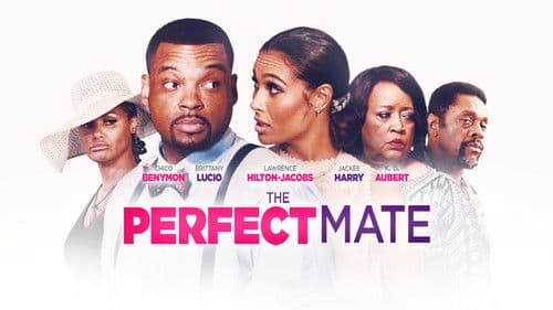 The Perfect Mate Bild 1