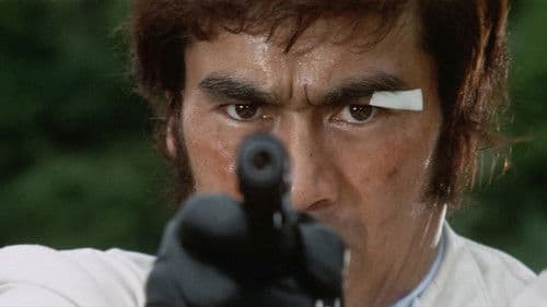 狼やくざ　葬いは俺が出す Bild 5