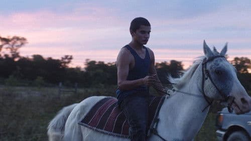 Songs My Brothers Taught Me Bild 2