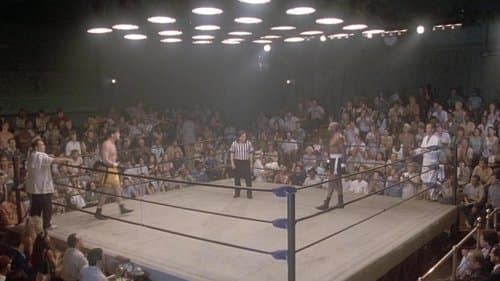 Ihr größter Coup Bild 1