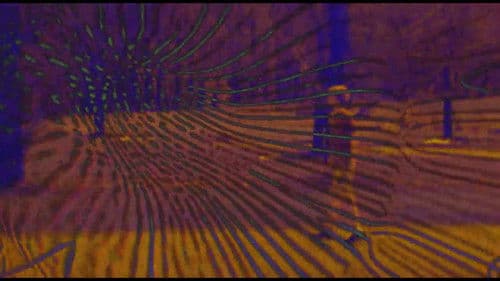 Joose Psychedelia Test Bild 3