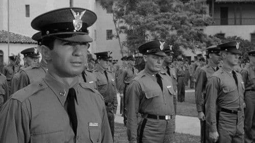 Stirb wie ein Mann Bild 4