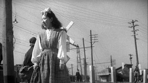 夜の女たち Bild 2