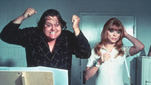 Die jüngsten Kätzchen sind die schärfsten Bild 5