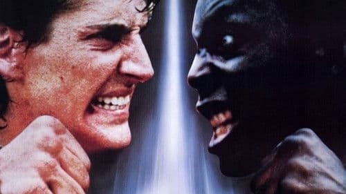 Karate Tiger 5 - König der Kickboxer Bild 3