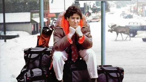 Ausgerechnet Alaska Bild 5